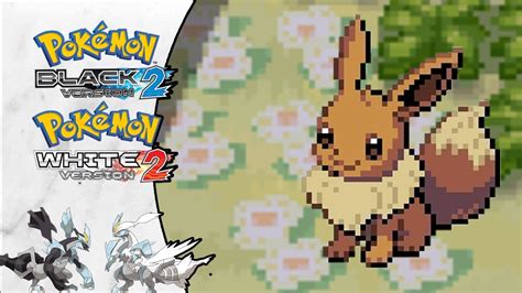 Evee in Castelia City: The Ultimate Guide