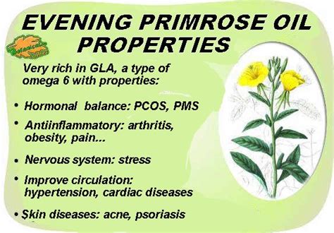 Evening Primrose Oil Its remarkable properties and its use in the treatment of a wide range of conditions Doc