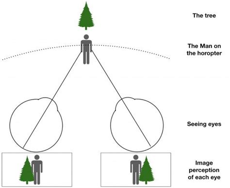 Ever Wonder How Well You See in 3D? Take a Fun Stereopsis Test Online Today!