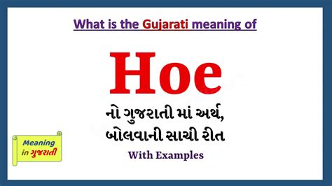 Ever Wondered What "Hoe" Means in Gujarati? We've Got You Covered!