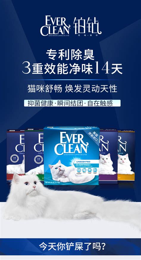 EverClean：科技賦能的清潔革命