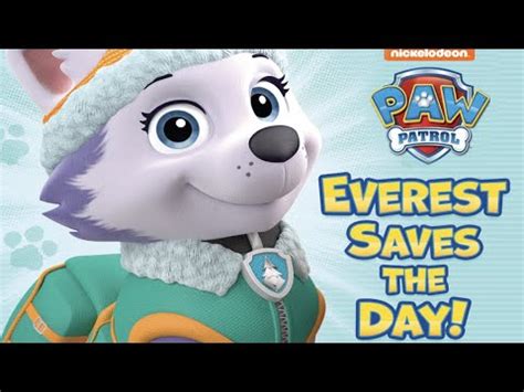 Everest Saves the Day PAW Patrol