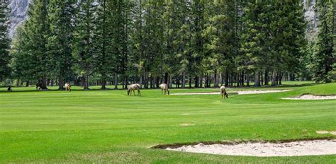 Evergreen CO Golf Course: A Comprehensive Guide to the Top 10 Courses