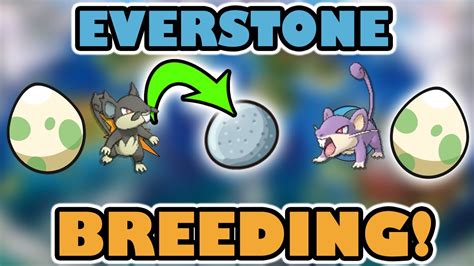 Everstone Breeding: Enhance Your Pokémon's Legacy