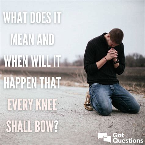 Every Knee Shall Bow Reader