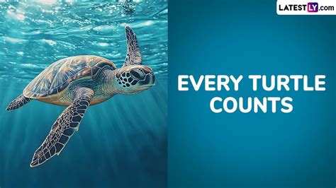 Every Turtle Counts Reader