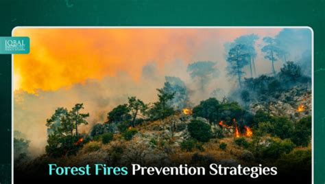 Everyone Else Burns: A Comprehensive Guide to Forest Fire Prevention and Recovery