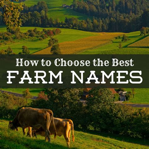 Everything You Need for Your Farm or Ranch