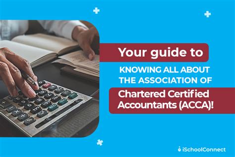 Everything You Need to Know About ACCA Member Search