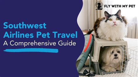 Everything You Need to Know About Flying Your Pet with Southwest Airlines