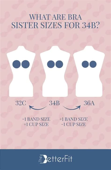 Everything You Need to Know About the 34B Cup Size