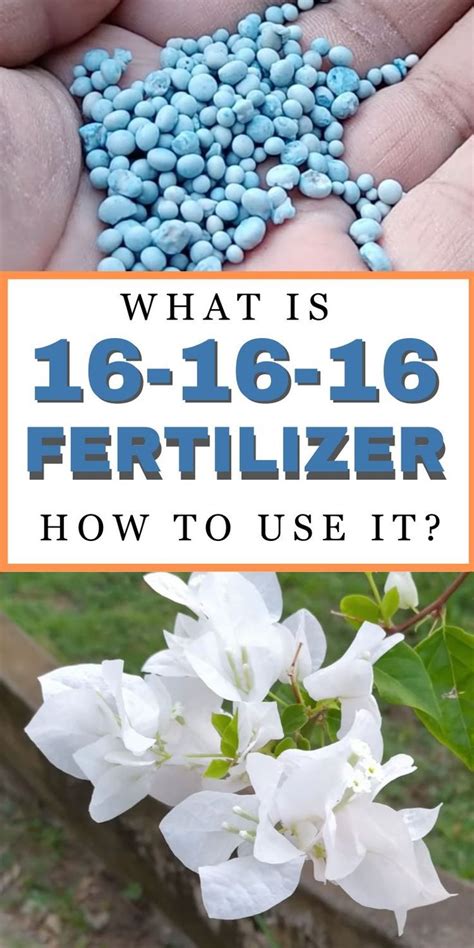 Everything You Need to Know About the Amazing 16-16-16 Fertilizer