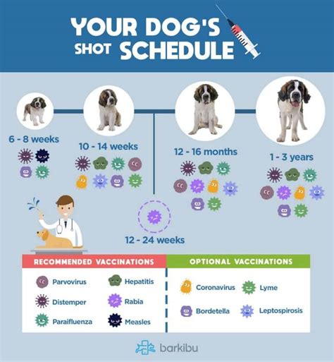 Everything You Need to Know About the Top 5 Distemper Vaccines for Dogs in 2023