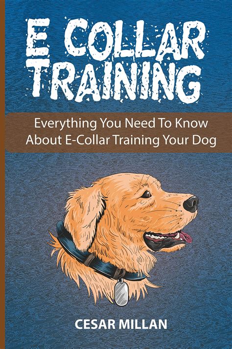 Everything you need to know about E Collar Training Kindle Editon