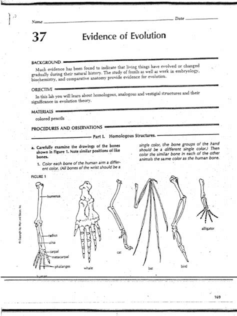 Evidence For Evolution Answer Key Doc