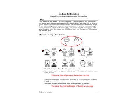 Evidence For Evolution Answer Key Pogil Doc