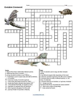 Evidence For Evolution Crossword Puzzle Answer Key PDF