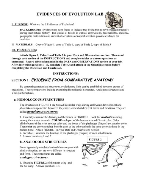 Evidence For Evolution Lab 38 Answer Key Reader