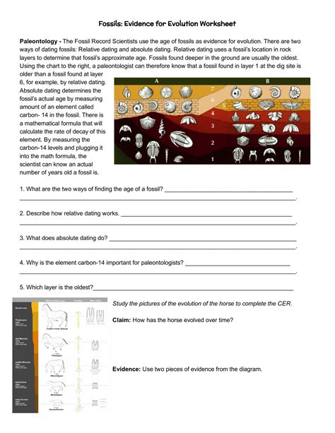 Evidence From Evolution Activity Fossils Answers Doc