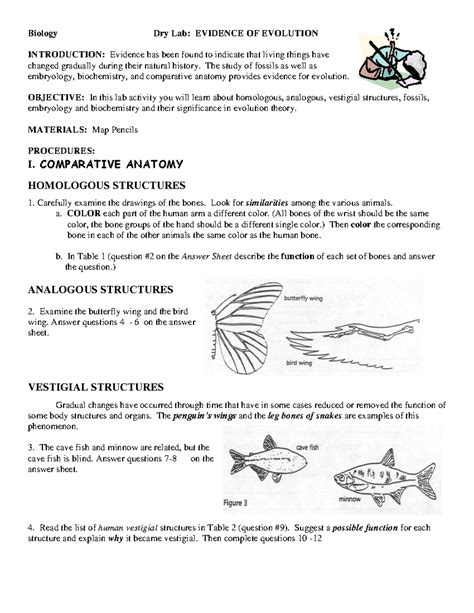 Evidence Of Evolution Dry Lab Answer Key Kindle Editon