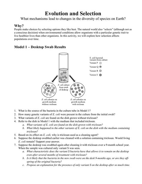 Evolution And Selection Pogil Answer Key Doc