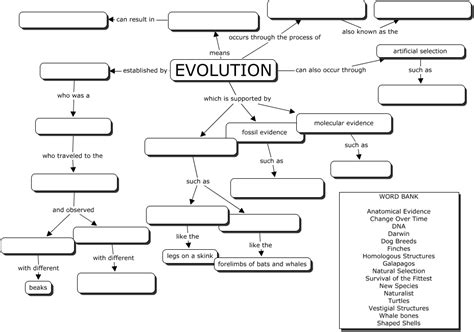 Evolution Chapter 15 3 Answers Doc