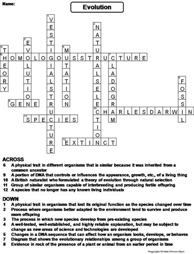 Evolution Crossword Puzzle And Answer Key Reader