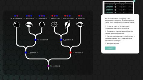 Evolution Lab Answer Key Doc