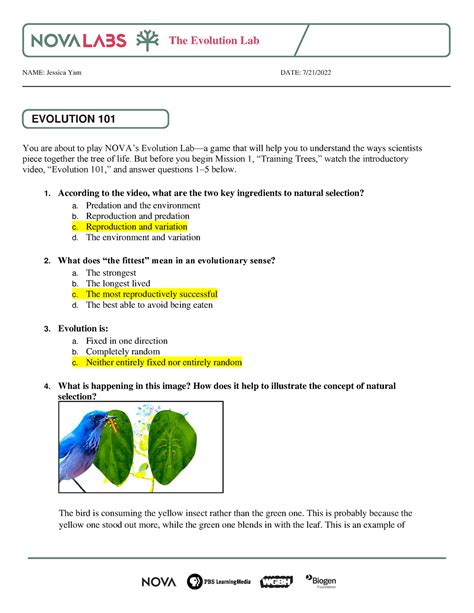 Evolution Lab Biology Answers PDF