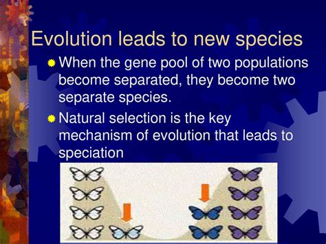 Evolution Of Populations Gene Pool Answer Key Kindle Editon