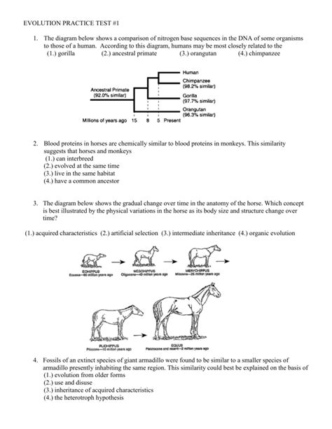 Evolution Test Questions Answers Kindle Editon