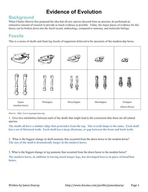 Evolution Worksheet Answers Doc