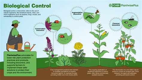 Evolution and Control in Biological Systems Doc