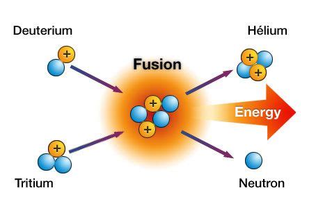 Evolution and Fusion Mechanics