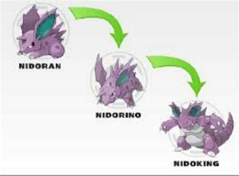 Evolution of Nidoran: A Journey of Three Generations