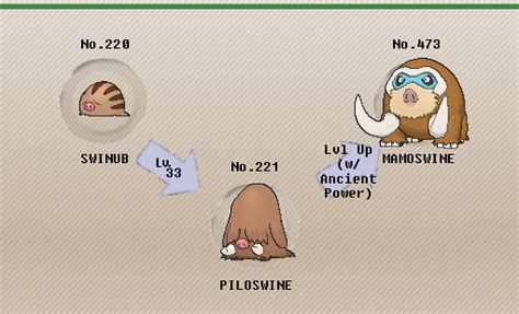 Evolution of Piloswine: A Comprehensive Guide