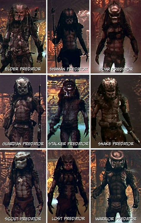 Evolution of the Predator Suit