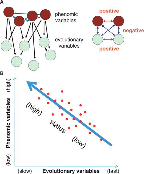 Evolutionary Genomics and Systems Biology Epub