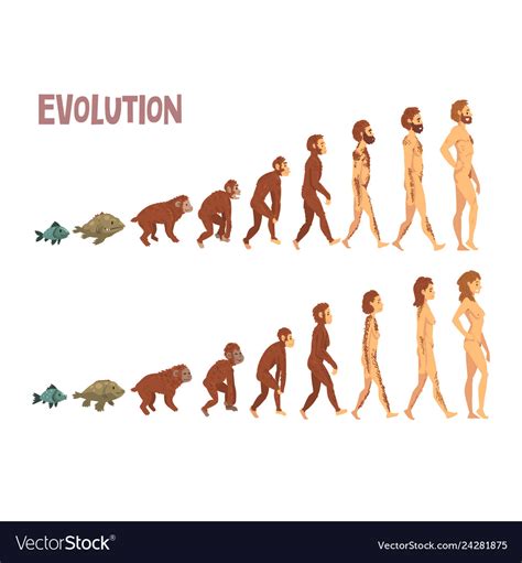 Evolutionary Lineage: The Puzzle of Male and Female