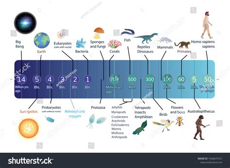 Evolutionary Timeline: