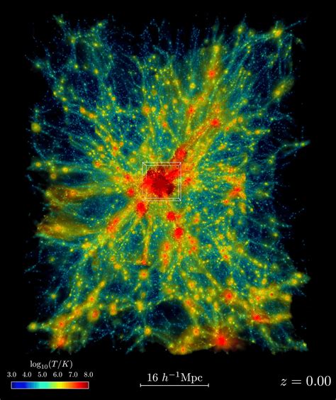 Evosim Universe: Exploring the Frontiers of Simulated Evolution