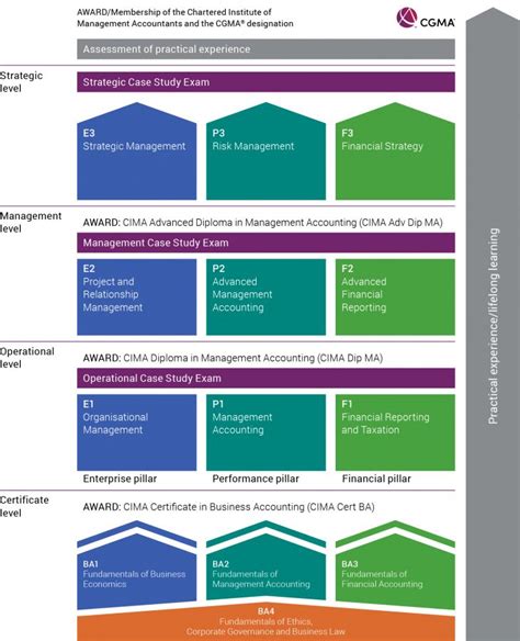 Examination Structure and Levels