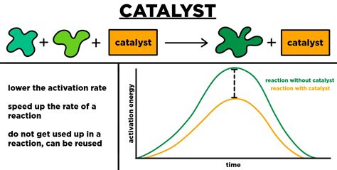 Examples of Culinary Catalysts: