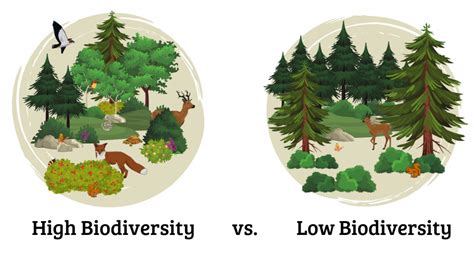Examples of ecosystems with high biodiversity