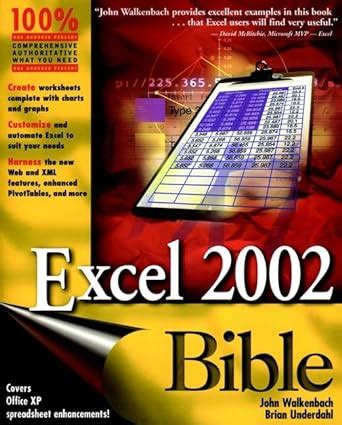 Excel 2002 Bible Reader