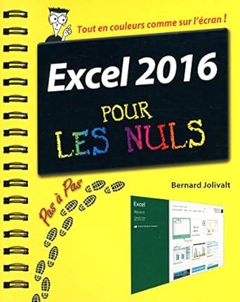 Excel 2016 pour les Nuls French Edition Reader