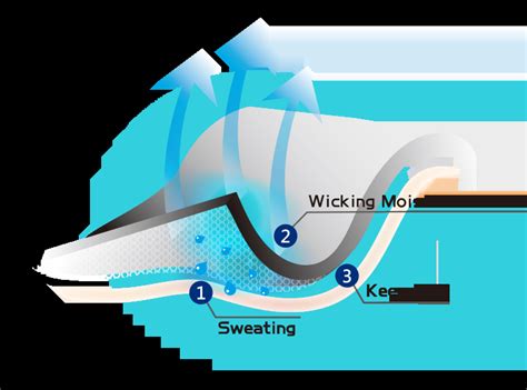 Exceptional Moisture-Wicking Properties: