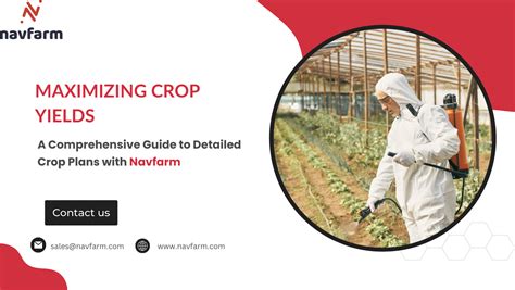 Exceptional Rejinium Farm: A Comprehensive Guide to Maximizing Yields