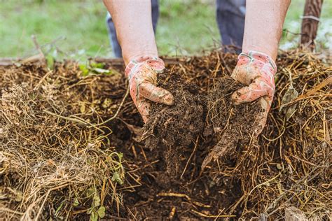 Exceptional Soil Enrichment: