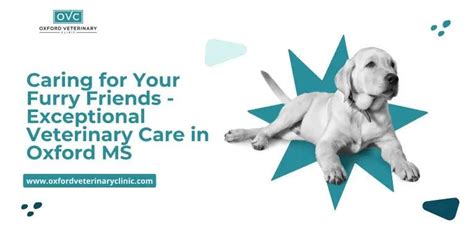 Exceptional Veterinary Services for Your Furry Friends